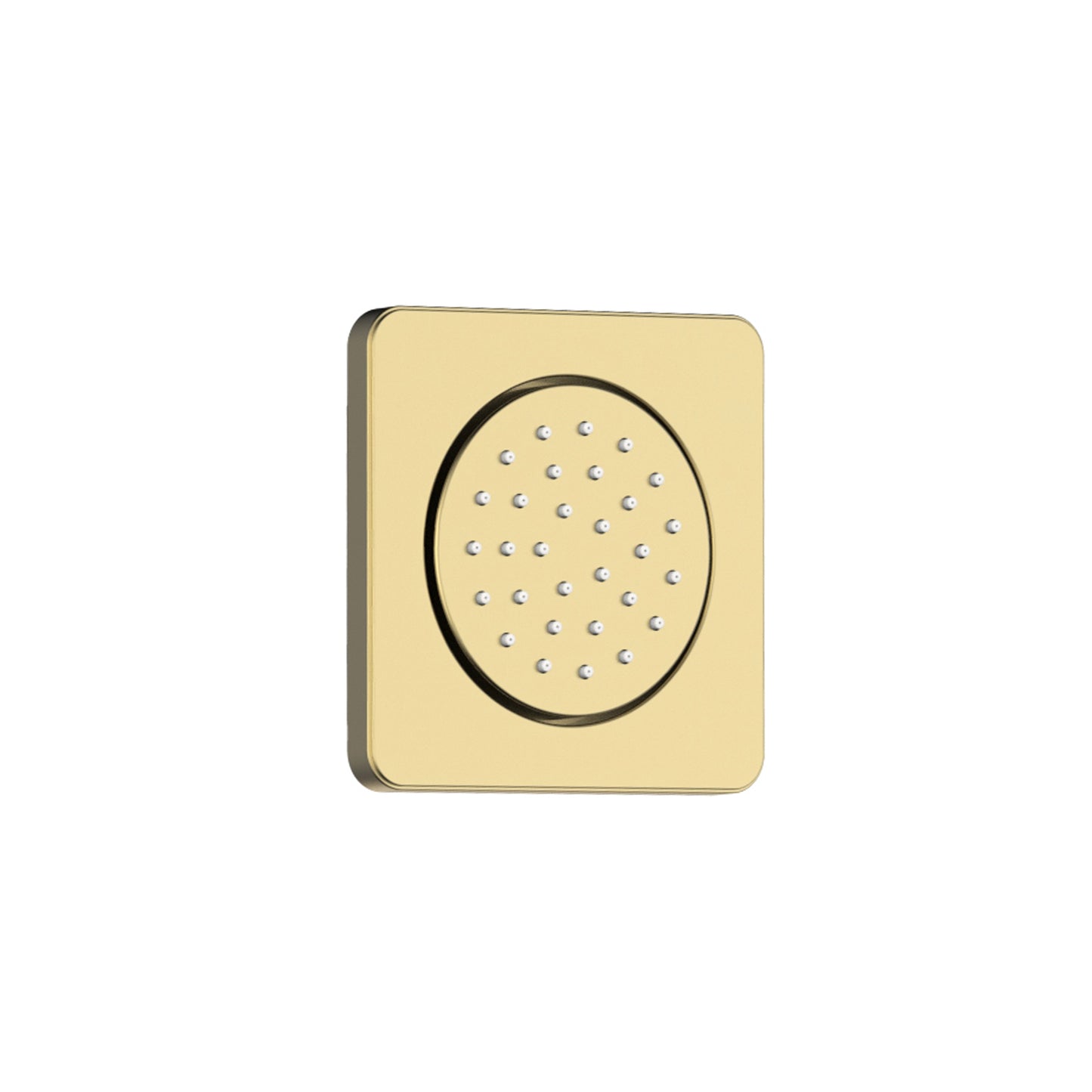 Lauretta Shower Jets - Set of 2 - UNIVERSAL