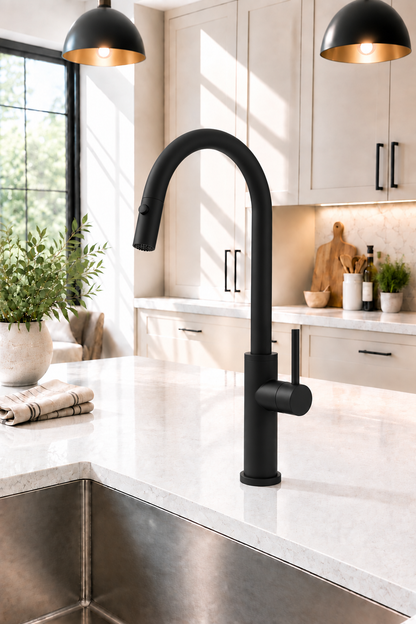 Kitchen scene with true matte black faucet finish